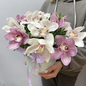 Орхидеи в Шляпной коробке